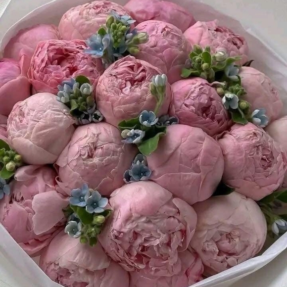 3/20 FRI🌺DAY Just-in Share Challenge Is OPEN!! - Picture 5 of 11